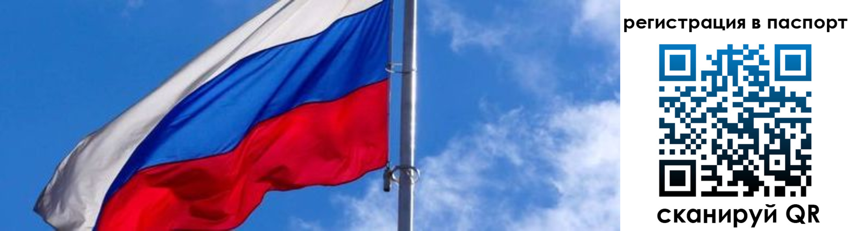прописка поиск в Челябинске